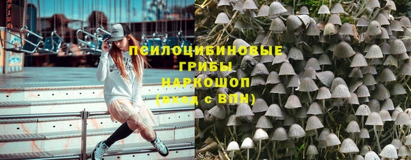 СК Надым