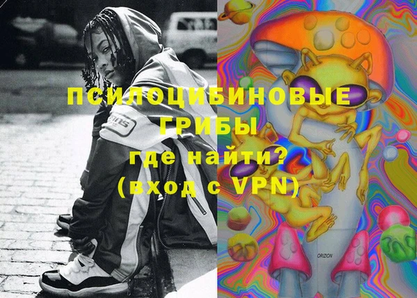 стаф Абинск