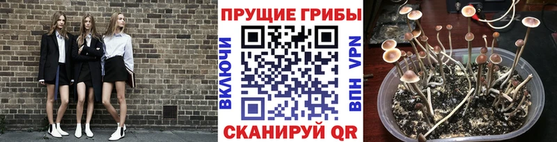 Псилоцибиновые грибы Magic Shrooms  Оренбург 
